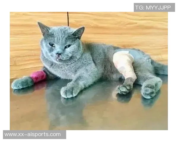 在家踢门脚趾骨折,蓝狮争冠真指不上亿元先生 在家踢门脚趾骨折,蓝狮争冠真指不上亿元先生